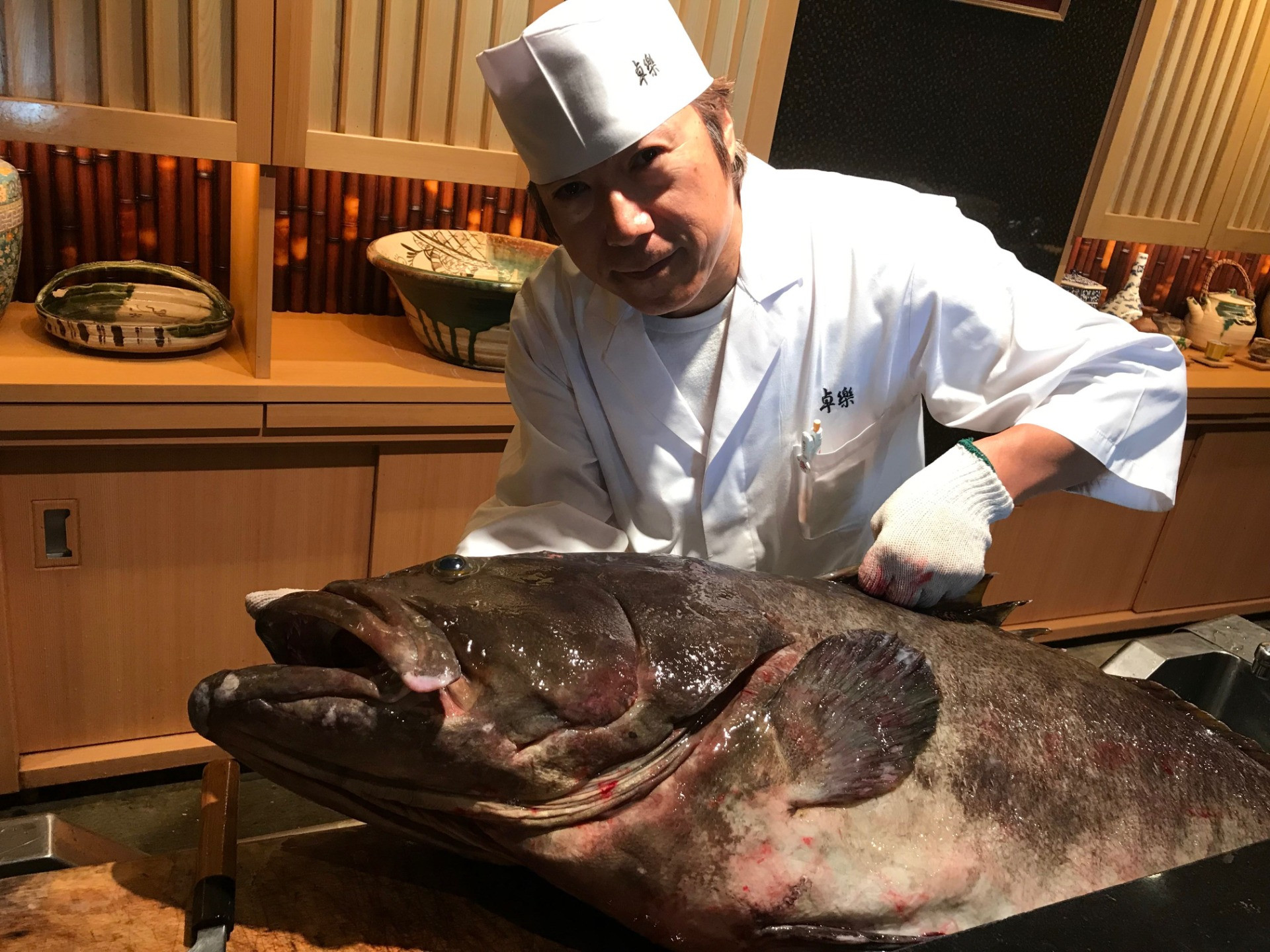 五島列島産　35ｋ物　天然くえ入荷しました。