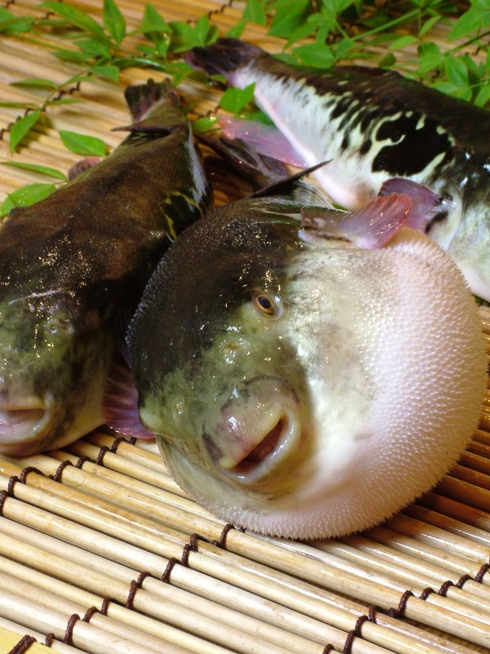 ふぐ祭り　11/15～1/末